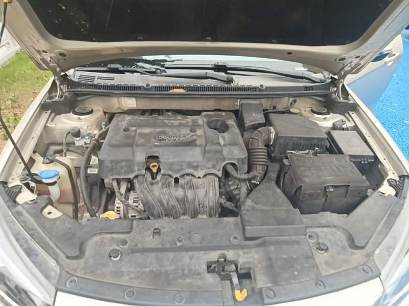 Used Geely Auto Emgrand 2019 Leading Edition 1.5L CVT Upward Asian Games Edition China VI — 19