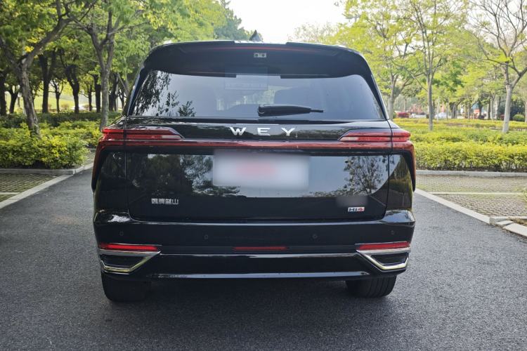 Used Wey Lanshan 2025 Four-Wheel Drive Ultra Exterior 9