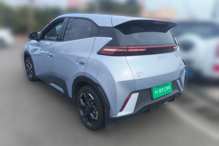 Used BYD Seagull 2024 Honor Edition 305km Freedom Version
