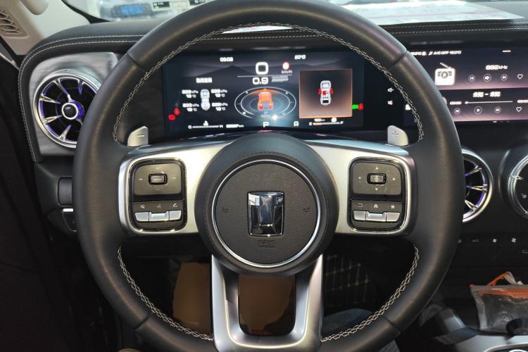 Used Tank 300 2024 2.0T Conqueror
