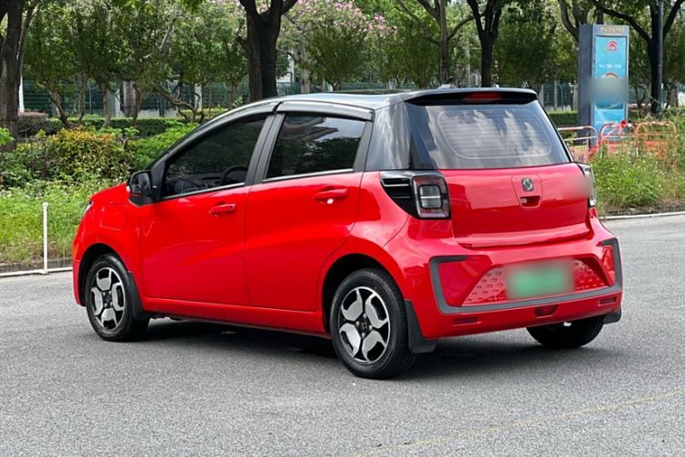 Used SOL E10X 2022 Flower Fairy Style Baby's Breath