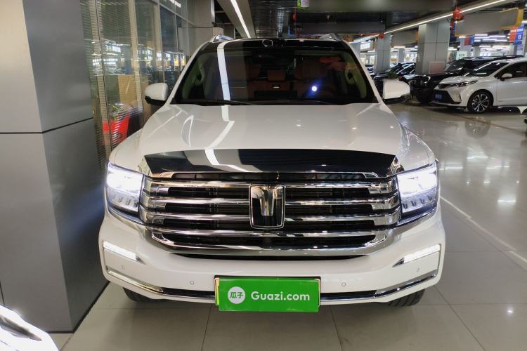 Used Tank 500 New Energy 2026 Model—Hi4-Z Smart Enjoyment Version Front