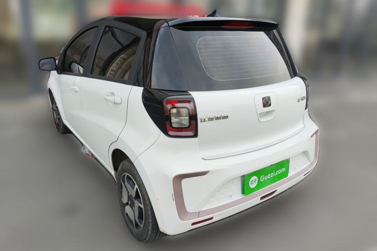 Used SOL E10X 2022 Flower Fairy Style Baby's Breath