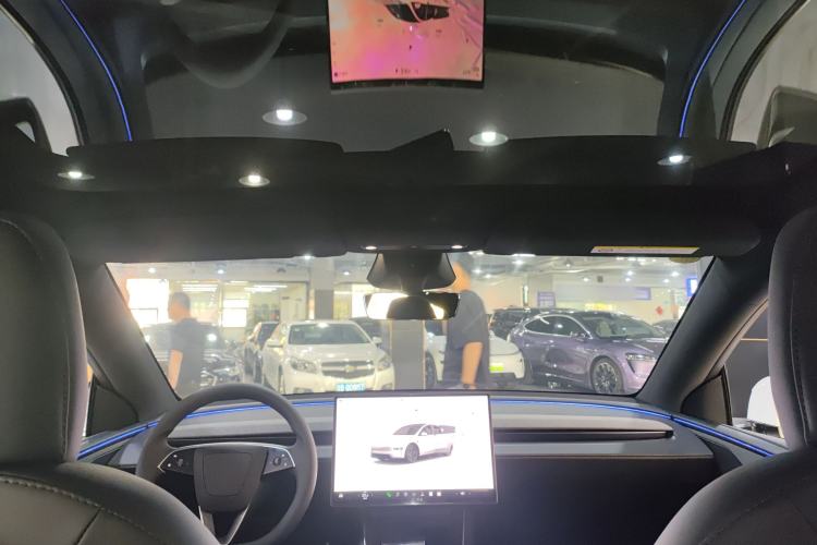 Used Tesla Model Y 2026 Long-Range All-Wheel-Drive Model Headliner
