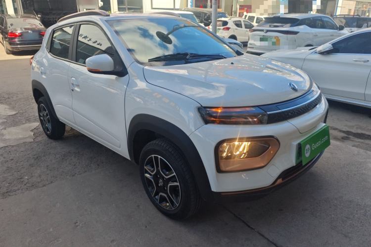 Used Dongfeng NAMMI BOX 2022 Light Wind Edition 201KM Lightning Model
