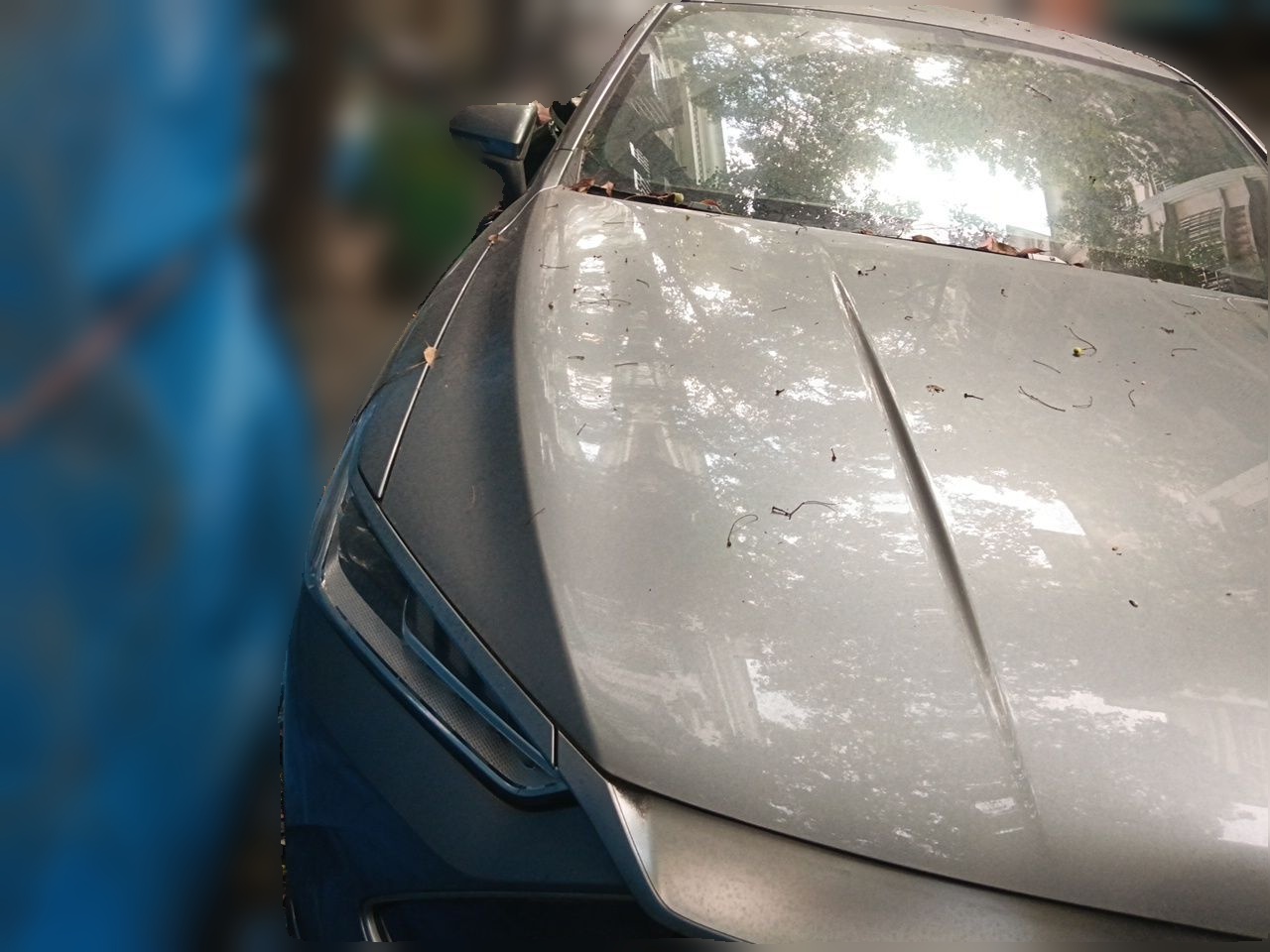 BYD Qin PLUS 2021 DM-i 55KM Prestige Model — снимка 3