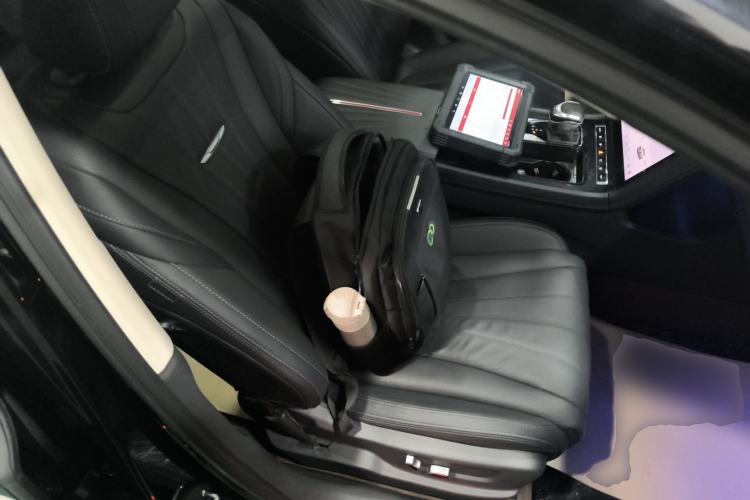 Used Hongqi H5 2024 2.0T Automatic Smart Connect Flagship Edition Right Front Seat