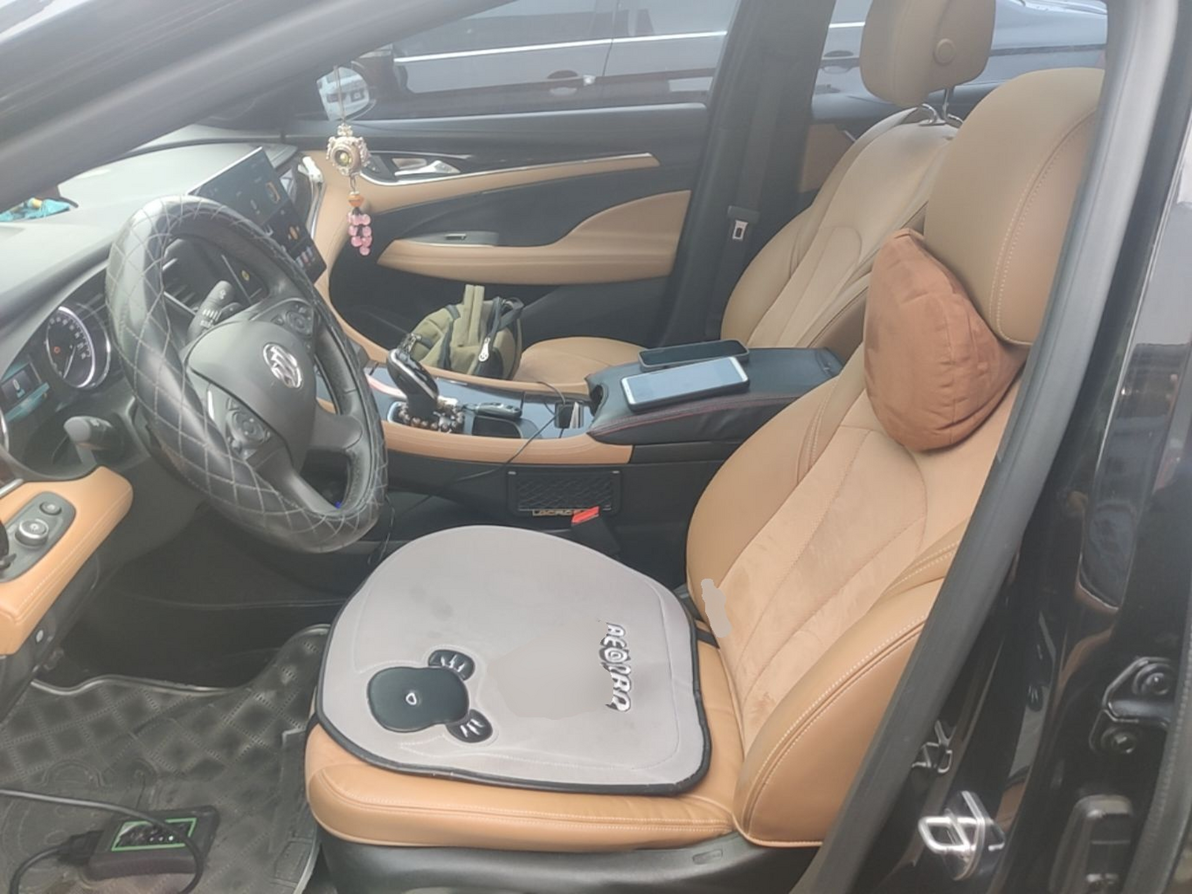 Interior delantero