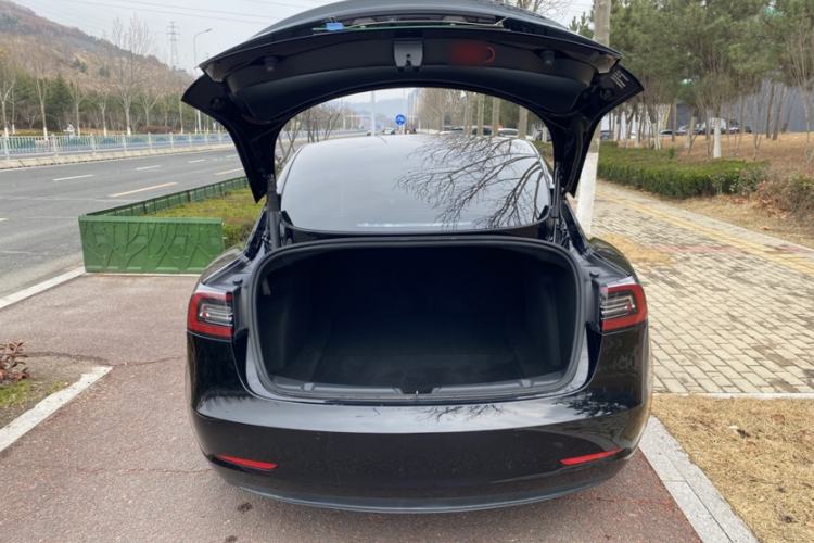 Used Tesla Model 3 2021 Standard Range Rear-Wheel Drive Upgraded Version 3D6
