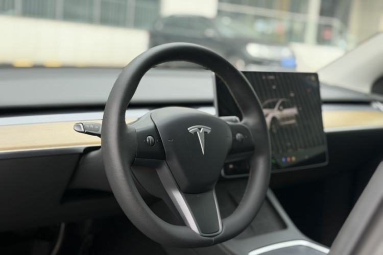 Used Tesla Model Y 2022 Revised Version Long-Range All-Wheel Drive
