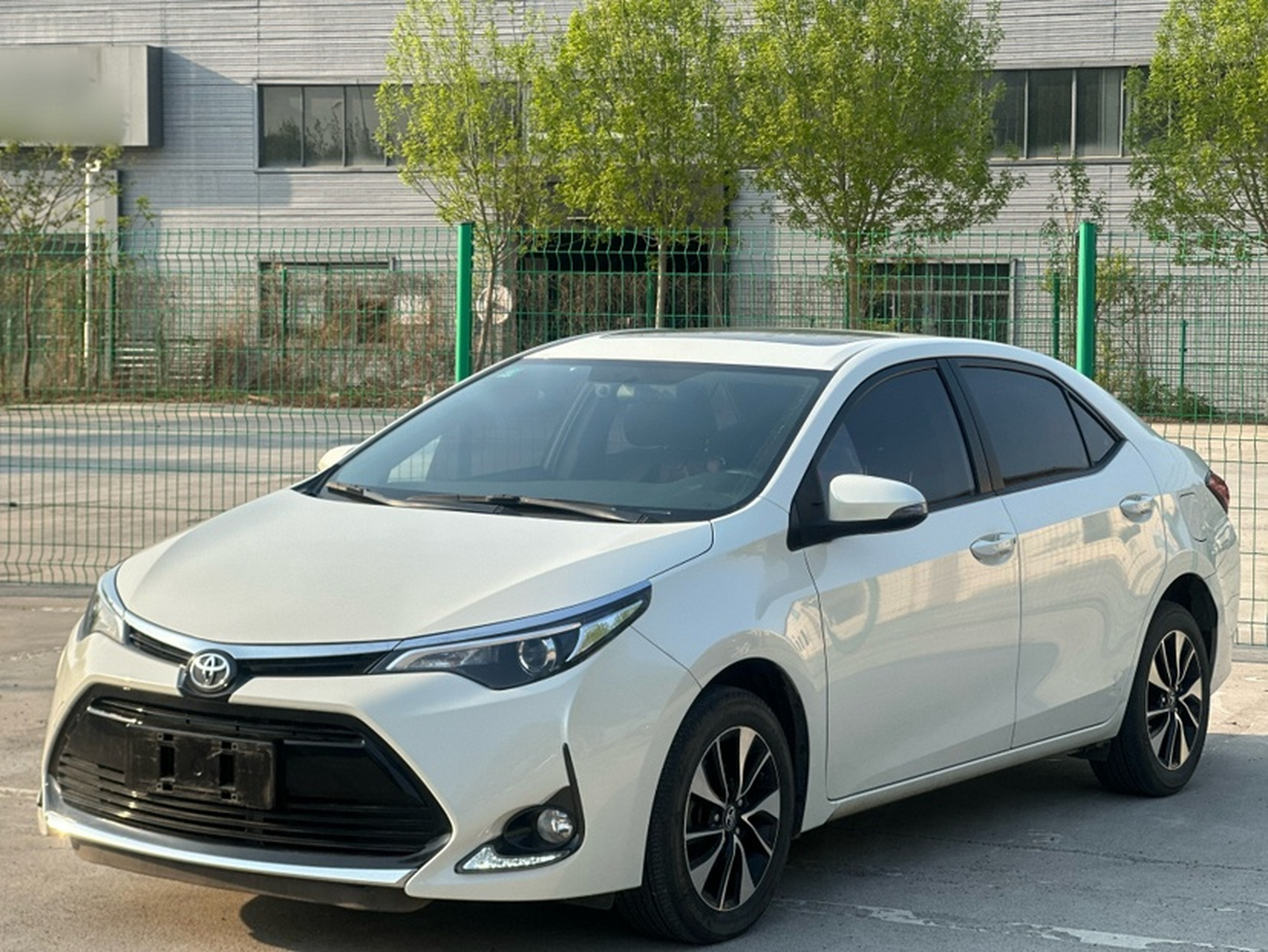 Parte inferior delantera