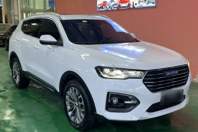 Used Haval H6 2018 Blue Label 2.0T Automatic Luxury Model Exterior 6