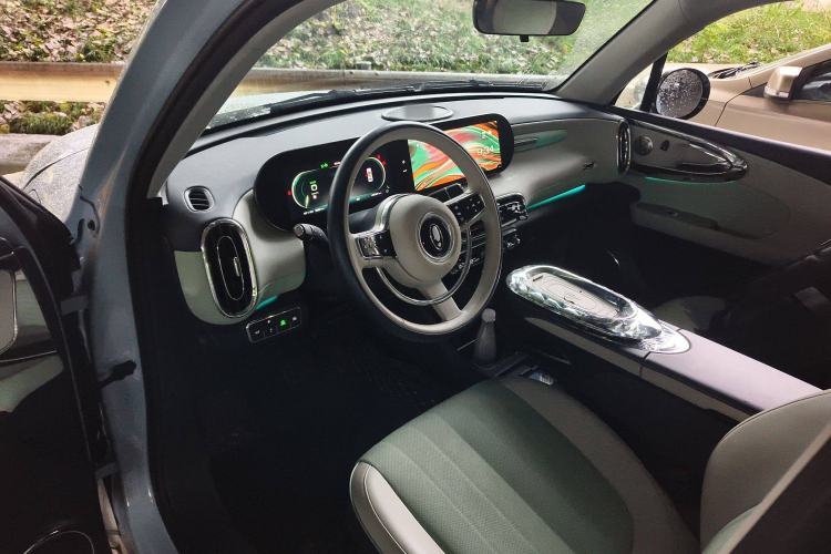 Used ORA Ballet Cat 2022 401 km Nutcracker Edition
