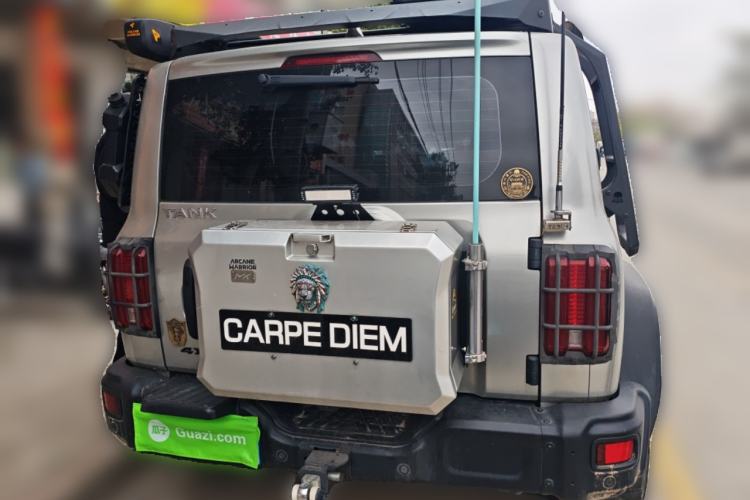 Used Tank 300 2021 2.0T Wind & Forest Iron Rider
