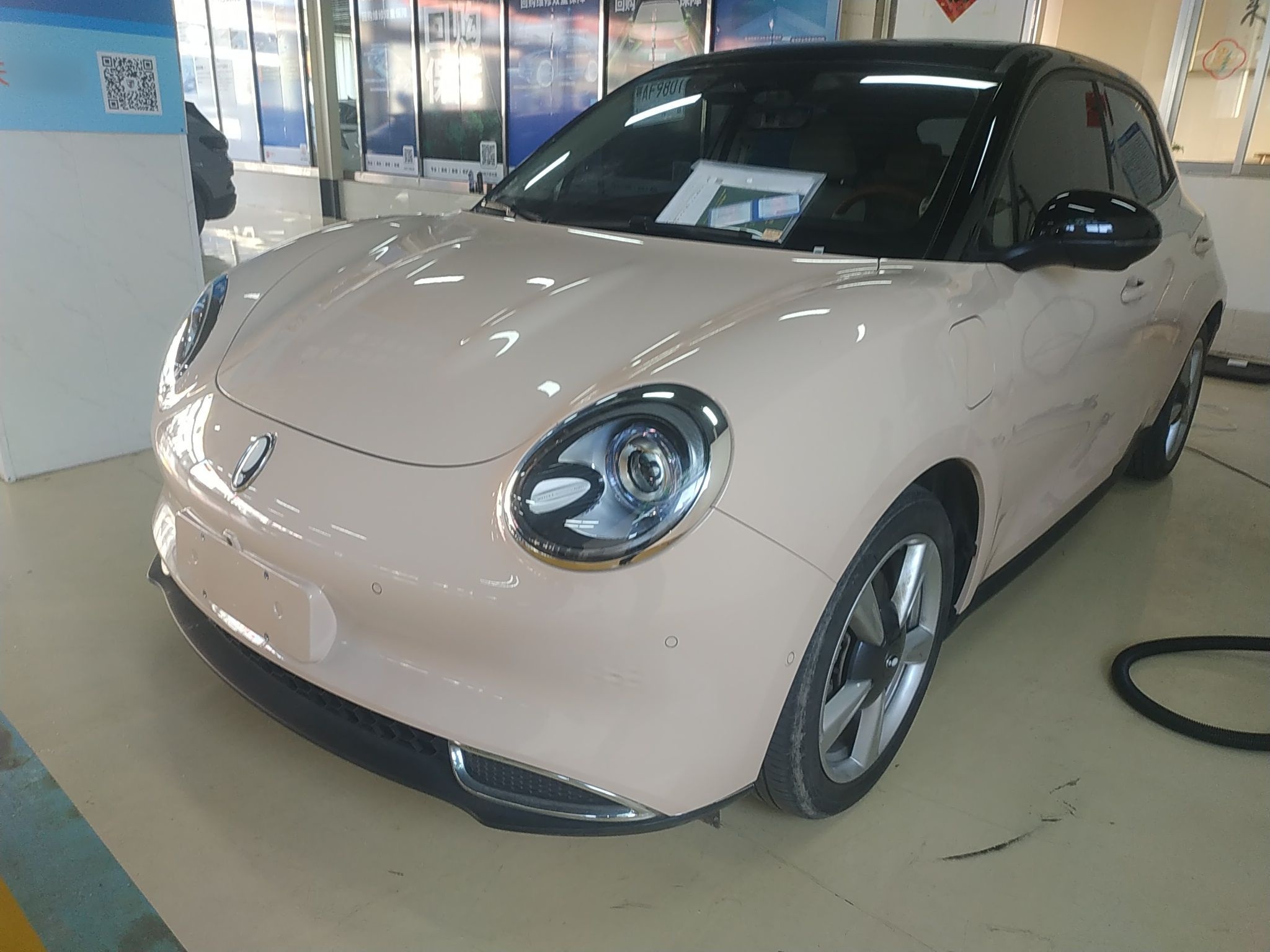 Parte inferior delantera