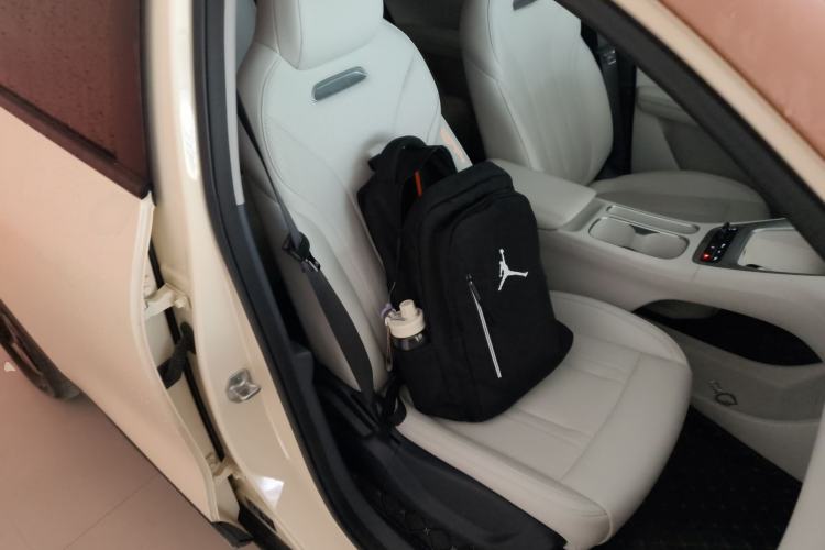 Used Geely Galaxy Geome 2025 UP 410km Exploration Edition Right Front Seat