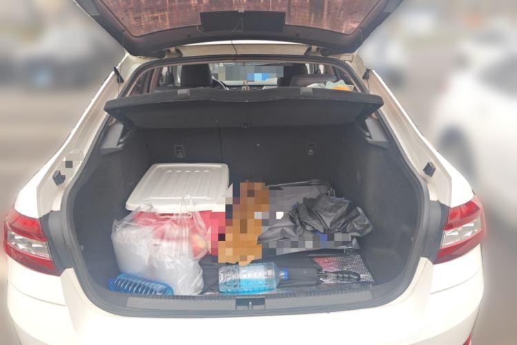 Used Skoda Octavia 2018 1.6L Automatic Luxury Edition