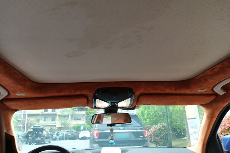 Used BMW 3 Series 2020 320Li M Sport Package Headliner