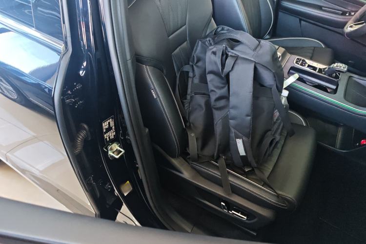 Used GAC Trumpchi GS8 2024 Linghang Series 2.0 TGDI Two-Wheel Drive Luxury Smart Connectivity Version Right Front Seat