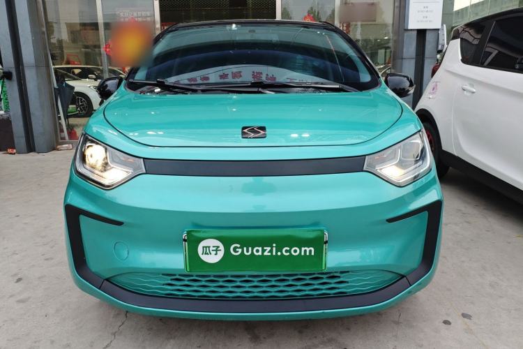 Used SOL E10X 2022 Flower Fairy Design Four-Leaf Clover Front