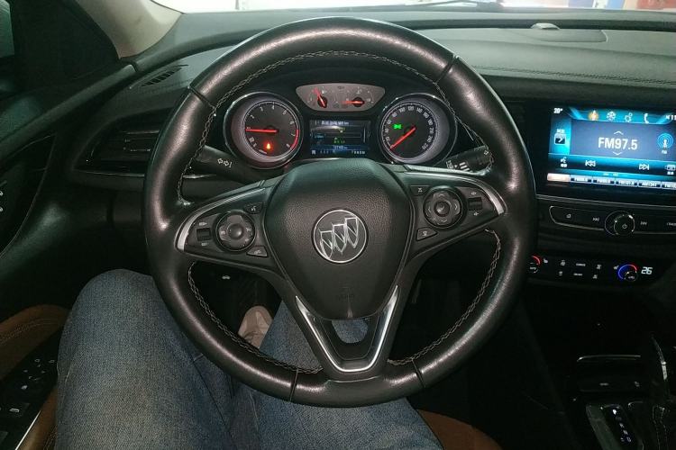 Used Buick Regal 2019 20T Elite Version China V Standard Steering Wheel