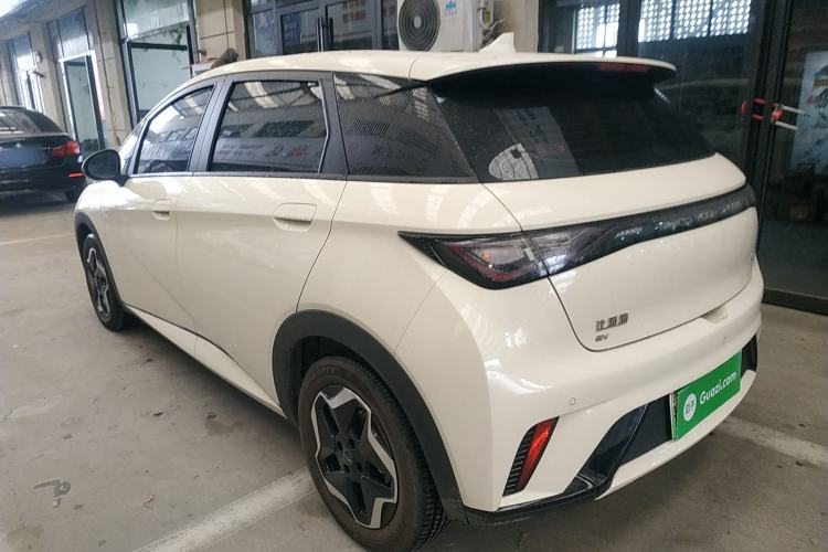 Used BYD Dolphin 2025 420km Active Version Rear Left 45 Deg