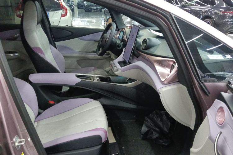 Used BYD Dolphin 2024 Honor Edition 420km Fashion Version Right Front Seat