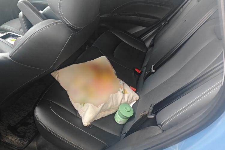 Used NETA V 2021 Long-Range Entertainment Edition Left Rear Seat