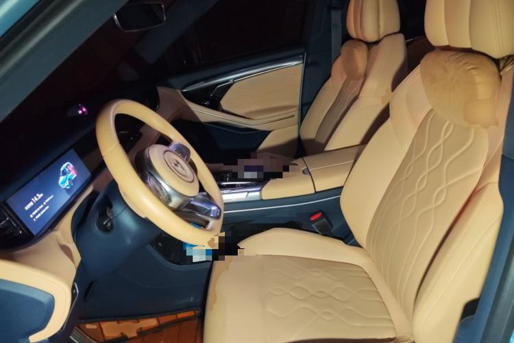 Used VOYAH FREE 2021 Four-Wheel Drive Standard All-Electric Exclusive Luxury Package Left Front Seat