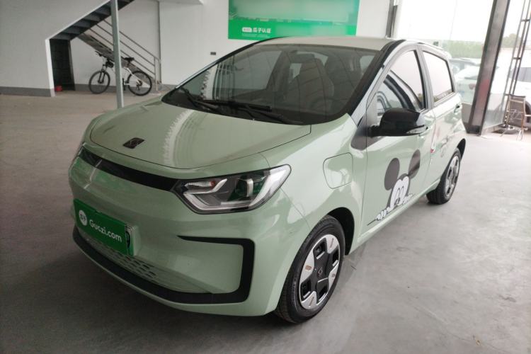 Used SOL E10X 2022 Flower Fairy Design Four-Leaf Clover