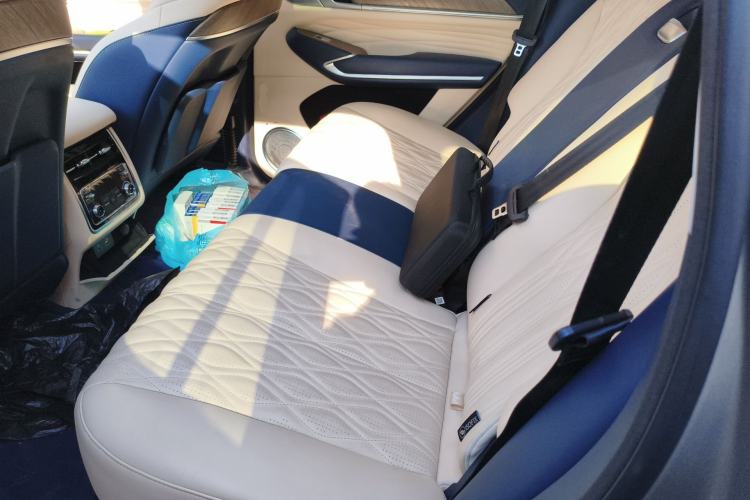 Used Tank 500 New Energy 2025 Hi4-Z Left Rear Seat