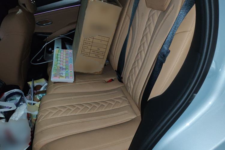 Used BYD Song L DM-i 2024 112 km Beyond Edition Left Rear Seat