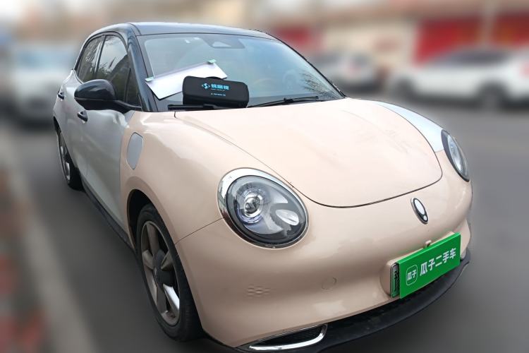 Used ORA Good Cat 2023 401 km Standard Range Luxury Version Lithium Iron Phosphate