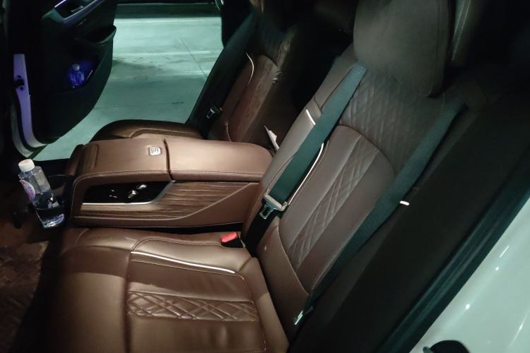 Used BMW 5 Series 2020 530Li Leading Edition Luxury Package Left Rear Seat