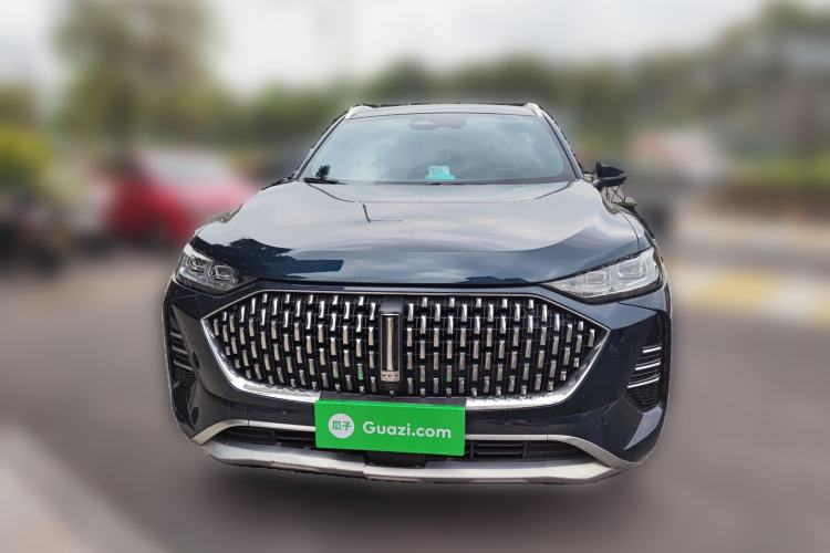 Used Wey Mocha 2021 2.0T Two-Wheel-Drive Ultra-Strong Version