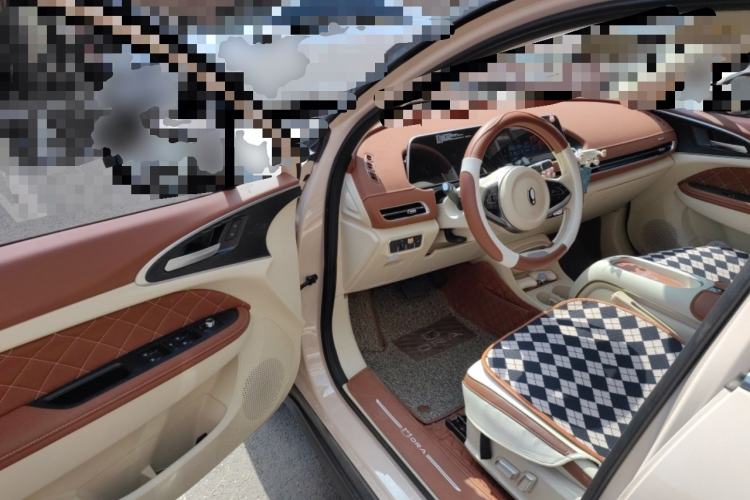 Used ORA Good Cat 2023 401 km Standard Range Luxury Version Lithium Iron Phosphate