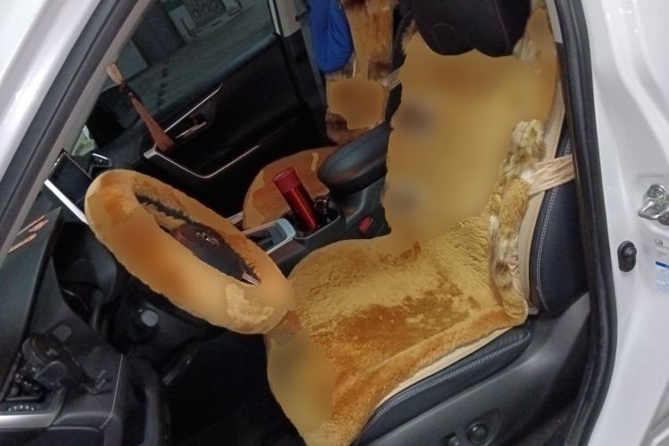 Used Toyota RAV4 2021 2.0L CVT 4x4 Style PLUS Edition