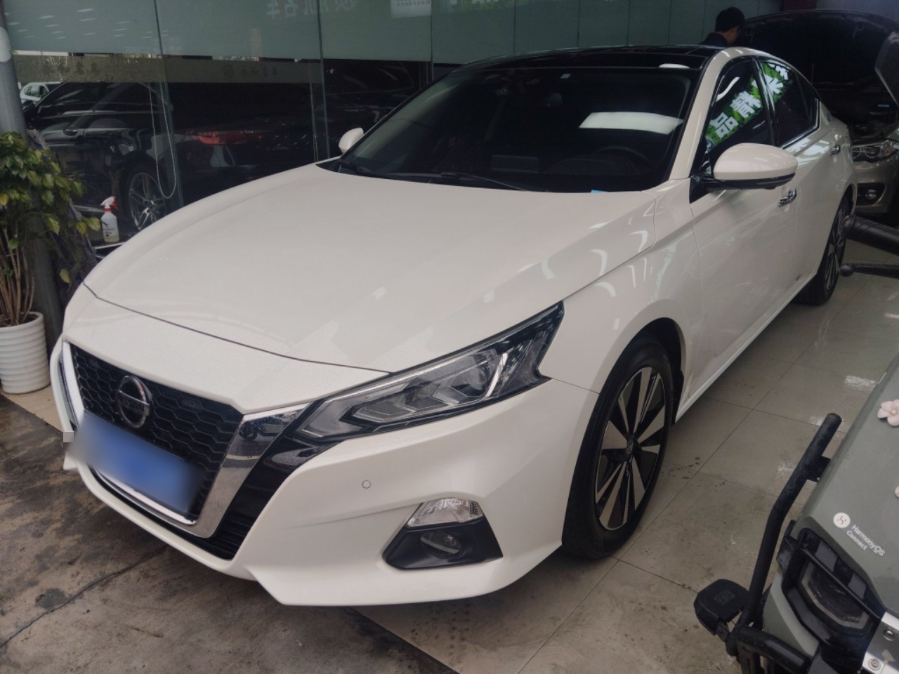 Parte inferior delantera