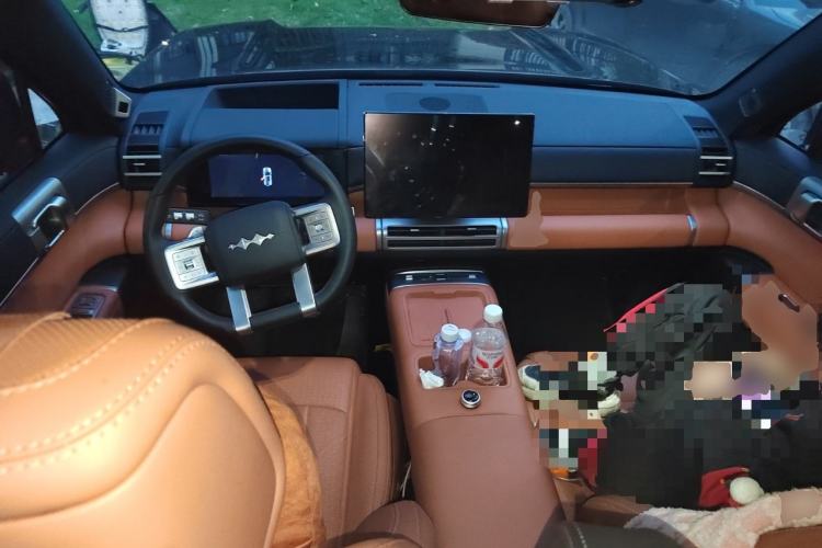 Used Formula Leopard Tai 7 2025 Model 190 km Four-Wheel Drive Ultra Edition