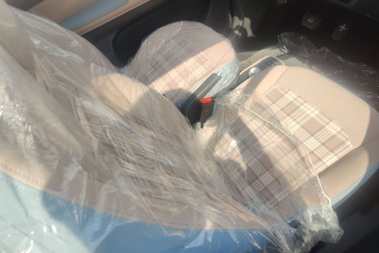 Used Chery QQ Ice Cream 2024 120km Milkshake Right Front Seat