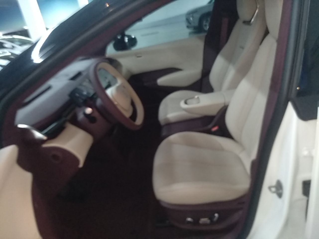 Zeekr X 2023 Rear-Drive ME Version 5 Seats — снимка 17