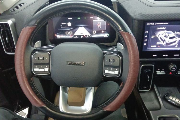 Used Haval DARGO 2024 2.0T DCT Chinese Rural Dog Edition
