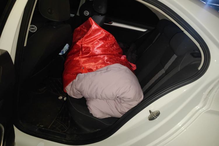 Used Volkswagen Lamando 2019 230TSI Manual Trend Edition China VI Standard Left Rear Seat