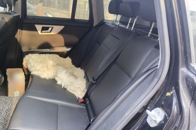 Used Mercedes-Benz GLK-Class 2013 GLK 300 4MATIC Fashion Model Left Rear Seat