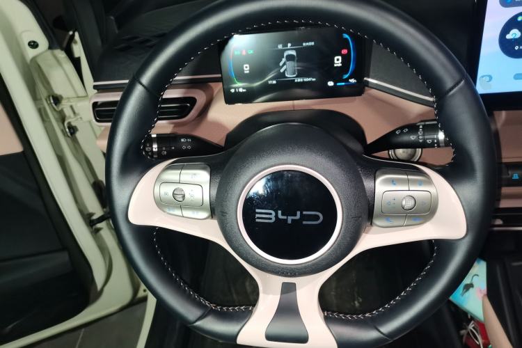 Used BYD Seagull 2024 Honor Edition 305km Freedom Version
