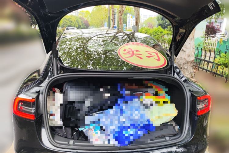 Used Tesla Model 3 2021 Revised Version II – Performance High-Performance All-Wheel-Drive Edition