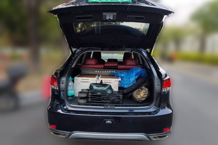 Used Lexus RX 2020 Revised Version 300 Two-Wheel Drive Elite Edition Trunk