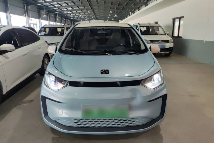 Used SOL E10X 2022 Flower Fairy Style Baby's Breath