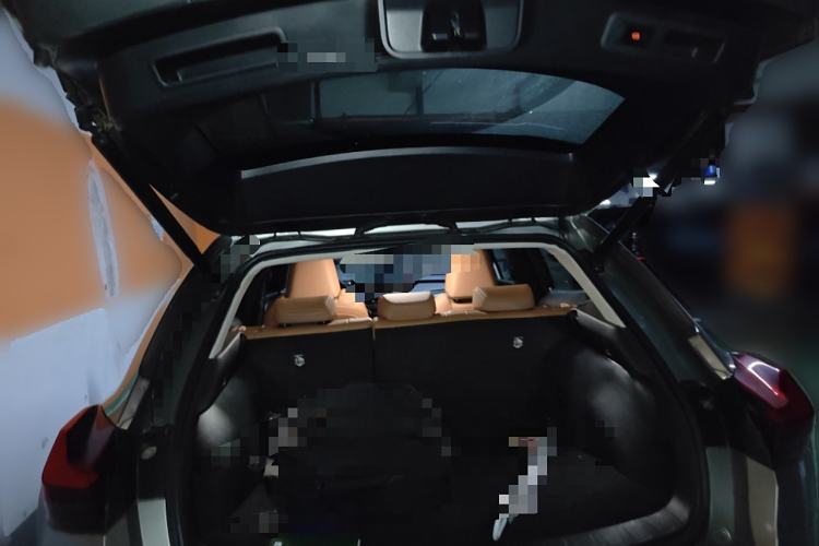 Used Lexus UX New Energy 2020 300e Pure·Joy Edition