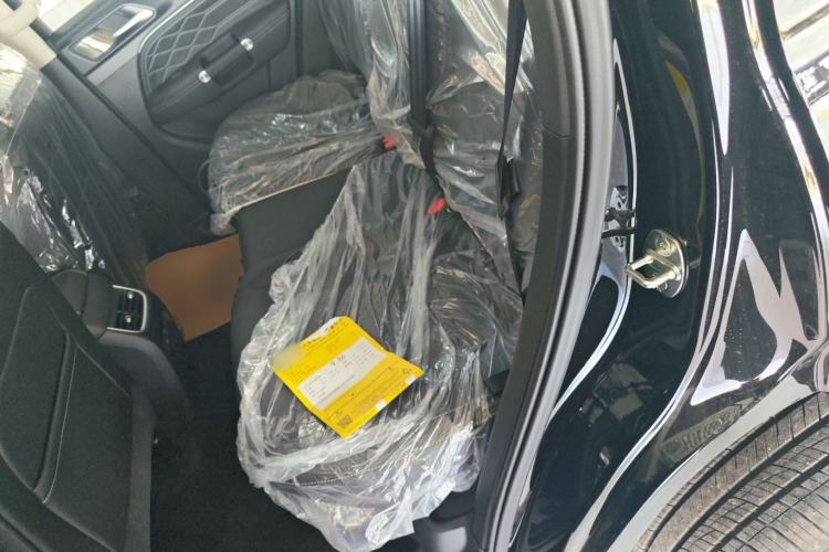 Used Tank 300 2025 2.0T Conqueror